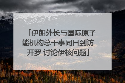 伊朗外长与国际原子能机构总干事同日到访开罗 讨论伊核问题