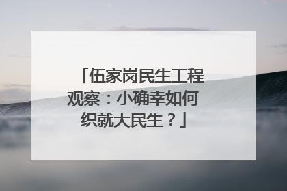 伍家岗民生工程观察：小确幸如何织就大民生？