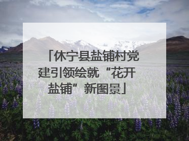 休宁县盐铺村党建引领绘就“花开盐铺”新图景