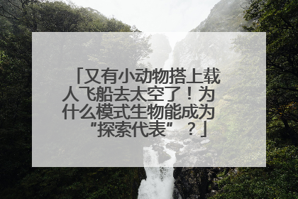 又有小动物搭上载人飞船去太空了！为什么模式生物能成为“探索代表”？