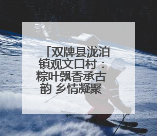 双牌县泷泊镇观文口村：粽叶飘香承古韵 乡情凝聚展新篇
