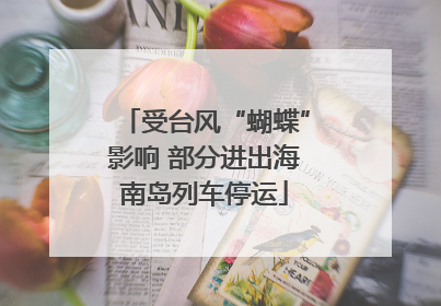 受台风“蝴蝶”影响 部分进出海南岛列车停运