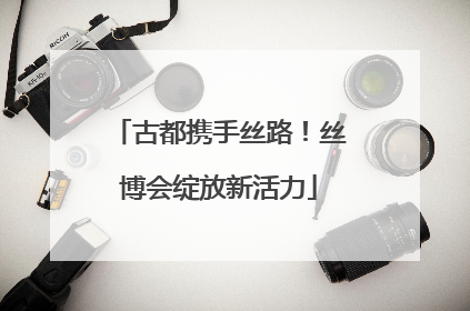 古都携手丝路！丝博会绽放新活力