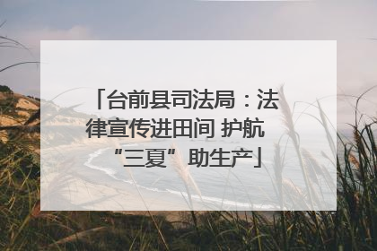 台前县司法局：法律宣传进田间 护航“三夏”助生产