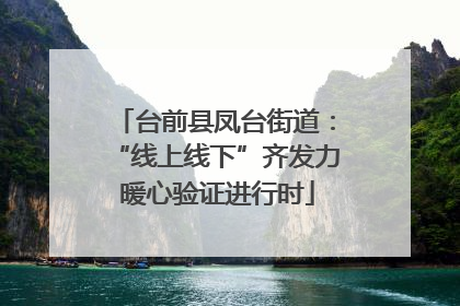 台前县凤台街道：“线上线下”齐发力 暖心验证进行时