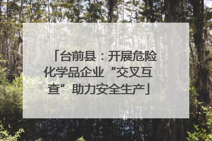 台前县：开展危险化学品企业“交叉互查”助力安全生产