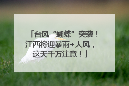 台风“蝴蝶”突袭！江西将迎暴雨+大风，这天千万注意！