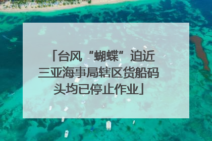 台风“蝴蝶”迫近 三亚海事局辖区货船码头均已停止作业