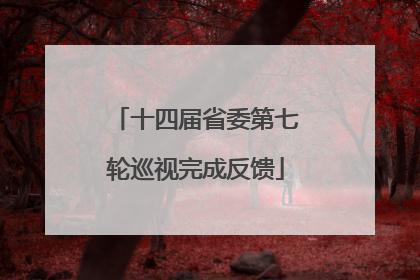 十四届省委第七轮巡视完成反馈