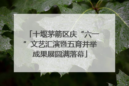 十堰茅箭区庆“六一”文艺汇演暨五育并举成果展圆满落幕