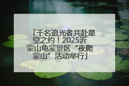 千名追光者共赴星空之约！2025沂蒙山龟蒙景区“夜爬蒙山”活动举行