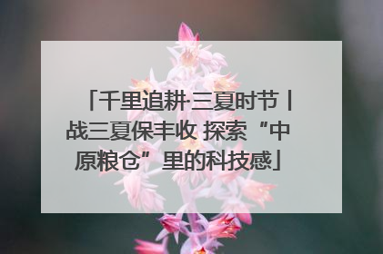 千里追耕·三夏时节丨战三夏保丰收 探索“中原粮仓”里的科技感