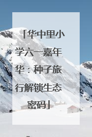 华中里小学六一嘉年华：种子旅行解锁生态密码