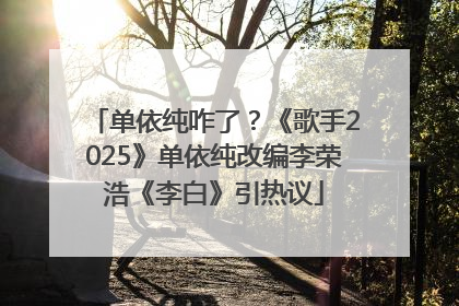 单依纯咋了？《歌手2025》单依纯改编李荣浩《李白》引热议