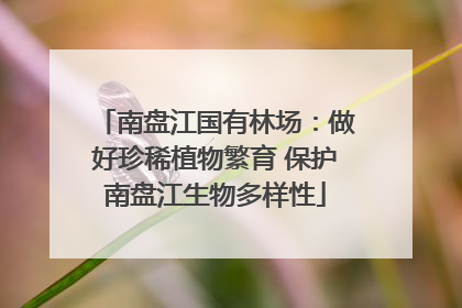 南盘江国有林场：做好珍稀植物繁育 保护南盘江生物多样性