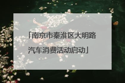 南京市秦淮区大明路汽车消费活动启动