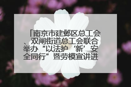 南京市建邺区总工会、双闸街道总工会联合举办“以法护‘新’安全同行”暨劳模宣讲进工地服务活动