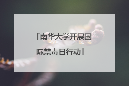 南华大学开展国际禁毒日行动