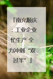 南充顺庆：工业企业忙生产 全力冲刺“双过半”