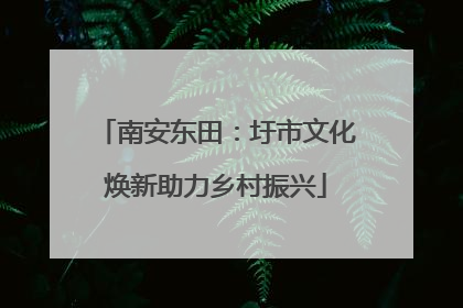 南安东田：圩市文化焕新助力乡村振兴