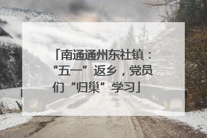 南通通州东社镇：“五一”返乡，党员们“归巢”学习