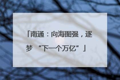 南通：向海图强，逐梦 “下一个万亿”
