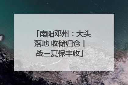 南阳邓州：大头落地 收储归仓丨战三夏保丰收