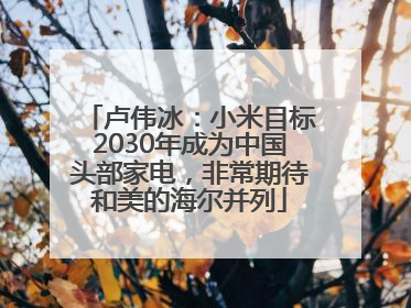 卢伟冰：小米目标2030年成为中国头部家电，非常期待和美的海尔并列