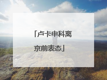 卢卡申科离京前表态