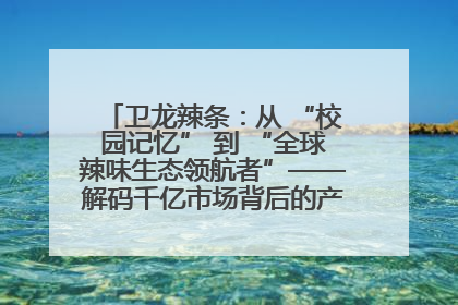 卫龙辣条：从 “校园记忆” 到 “全球辣味生态领航者”——解码千亿市场背后的产品创新与全链路破圈