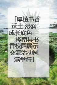 厚植书香沃土 浸润成长底色——桦南县书香校园展示交流活动圆满举行