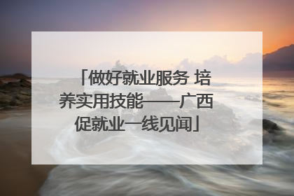 做好就业服务 培养实用技能——广西促就业一线见闻