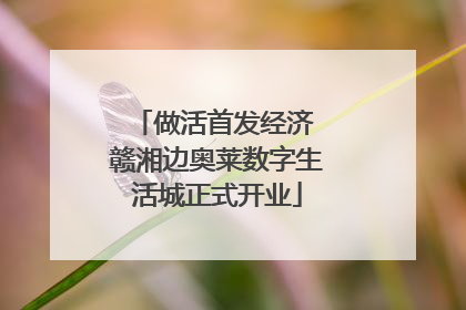 做活首发经济 赣湘边奥莱数字生活城正式开业