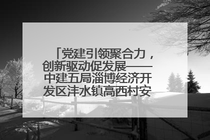 党建引领聚合力，创新驱动促发展——中建五局淄博经济开发区沣水镇高西村安置项目建设纪实