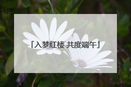 入梦红楼 共度端午
