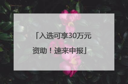 入选可享30万元资助！速来申报