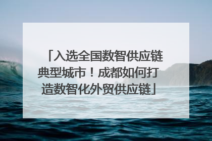 入选全国数智供应链典型城市！成都如何打造数智化外贸供应链