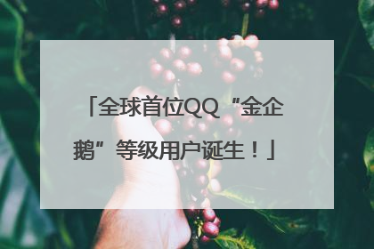 全球首位QQ“金企鹅”等级用户诞生！