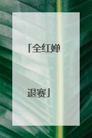 全红婵退赛
