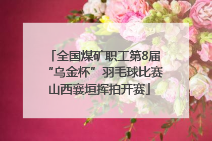 全国煤矿职工第8届“乌金杯”羽毛球比赛山西襄垣挥拍开赛