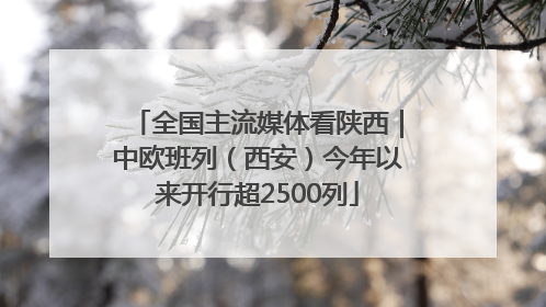 全国主流媒体看陕西｜中欧班列（西安）今年以来开行超2500列