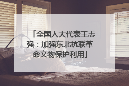 全国人大代表王志强：加强东北抗联革命文物保护利用