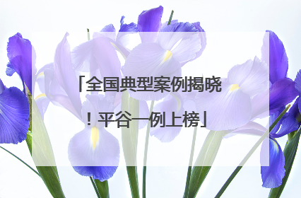 全国典型案例揭晓！平谷一例上榜