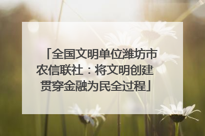 全国文明单位潍坊市农信联社：将文明创建贯穿金融为民全过程