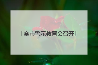 全市警示教育会召开