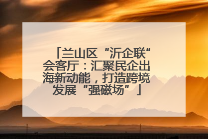 兰山区“沂企联”会客厅：汇聚民企出海新动能，打造跨境发展“强磁场”