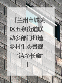 兰州市城关区五泉街道联动多部门打造乡村生态景观“洁净长廊”
