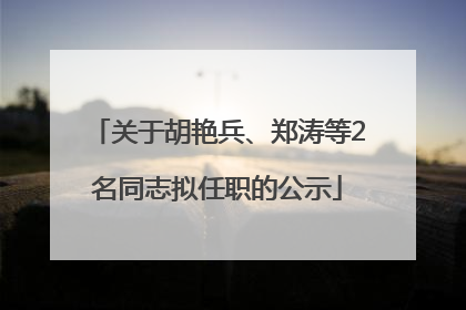 关于胡艳兵、郑涛等2名同志拟任职的公示