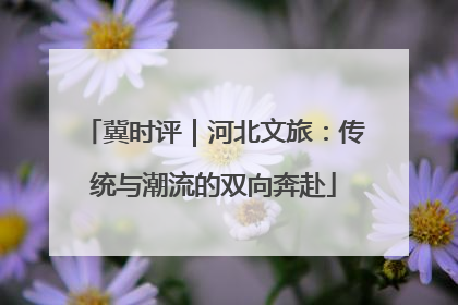 冀时评｜河北文旅：传统与潮流的双向奔赴