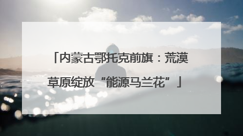 内蒙古鄂托克前旗：荒漠草原绽放“能源马兰花”